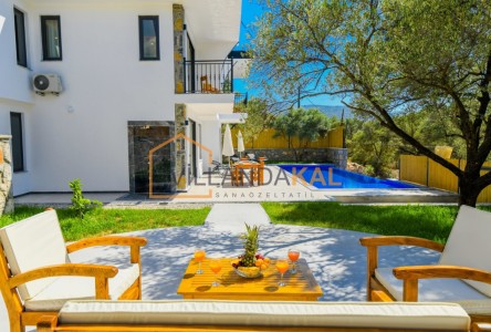 Villa Risus 2